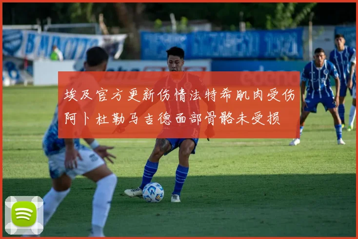 埃及官方更新伤情法特希肌肉受伤阿卜杜勒马吉德面部骨骼未受损